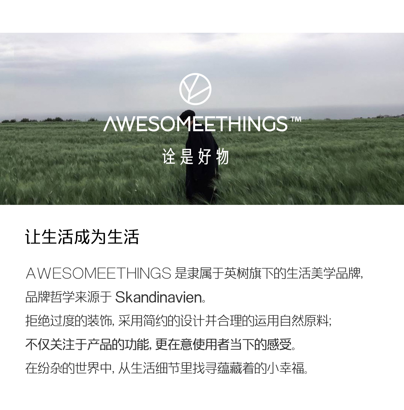 AWESOMEETHINGS雙頭多用棉簽，產(chǎn)品所屬品牌的品牌介紹